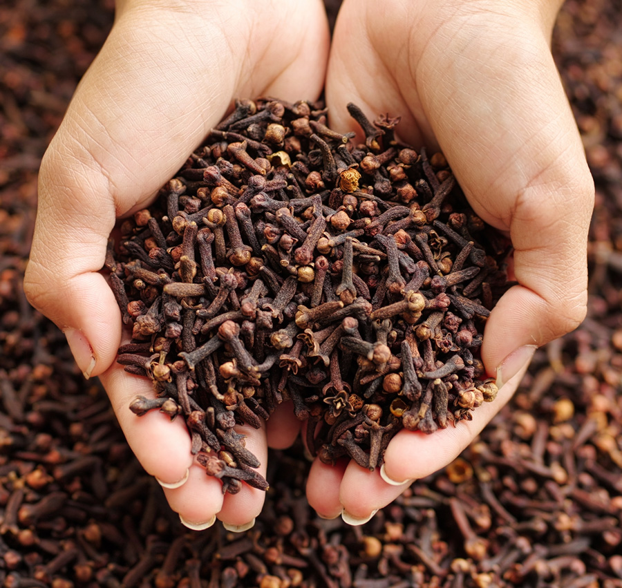 aromatic dried cloves from iRAJ Spices